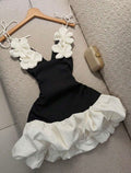 Women’s elegant dress